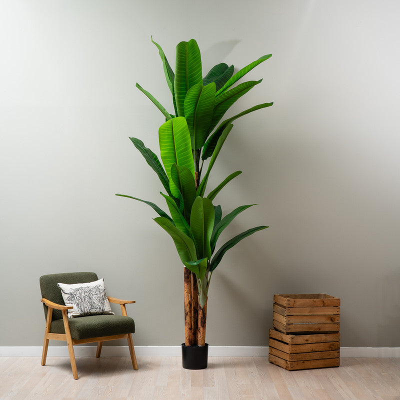 260cm Real Touch Banana Tree