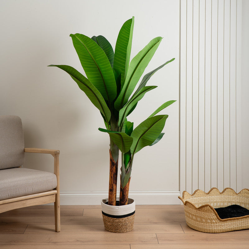 160cm Real Touch Banana Tree