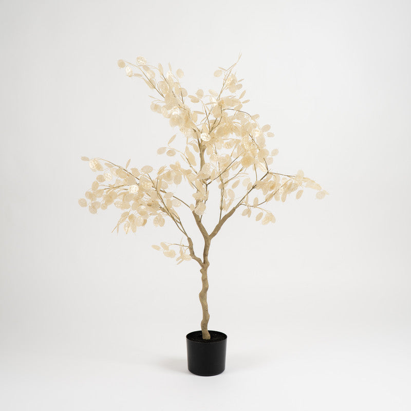 120cm Honesty (Lunaria) Tree