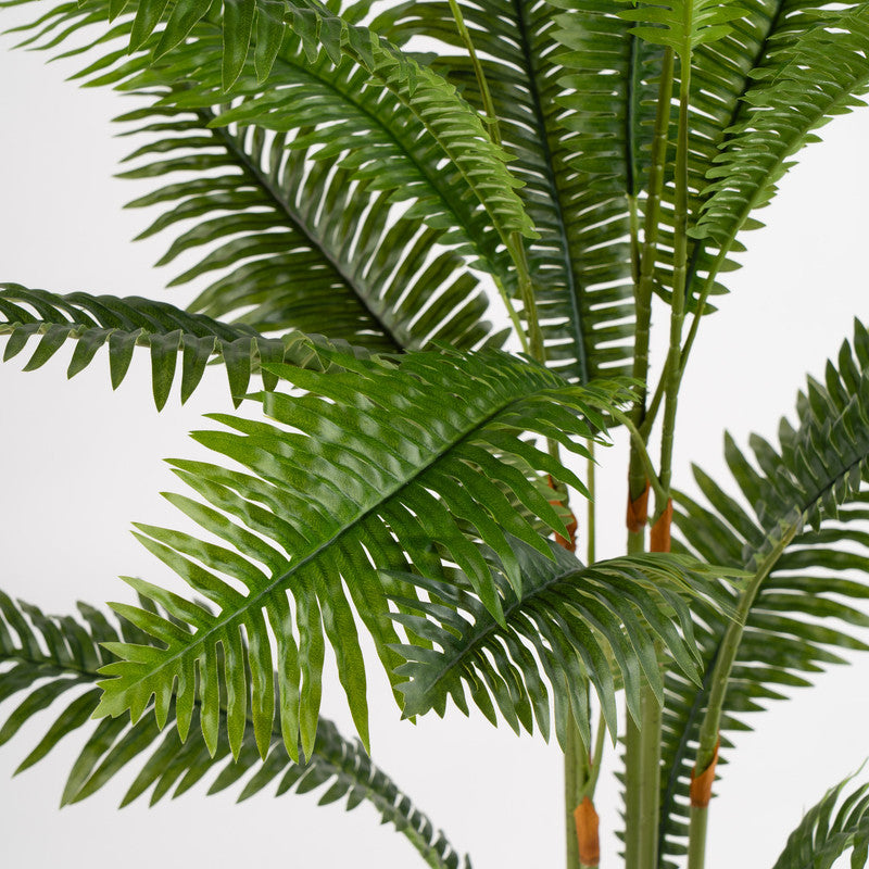 100cm Fern Palm Tree