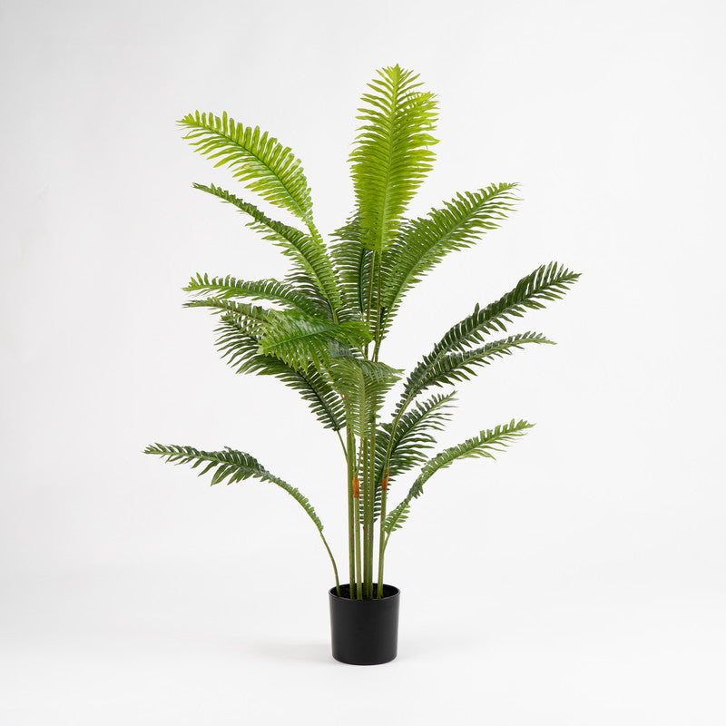 100cm Fern Palm Tree