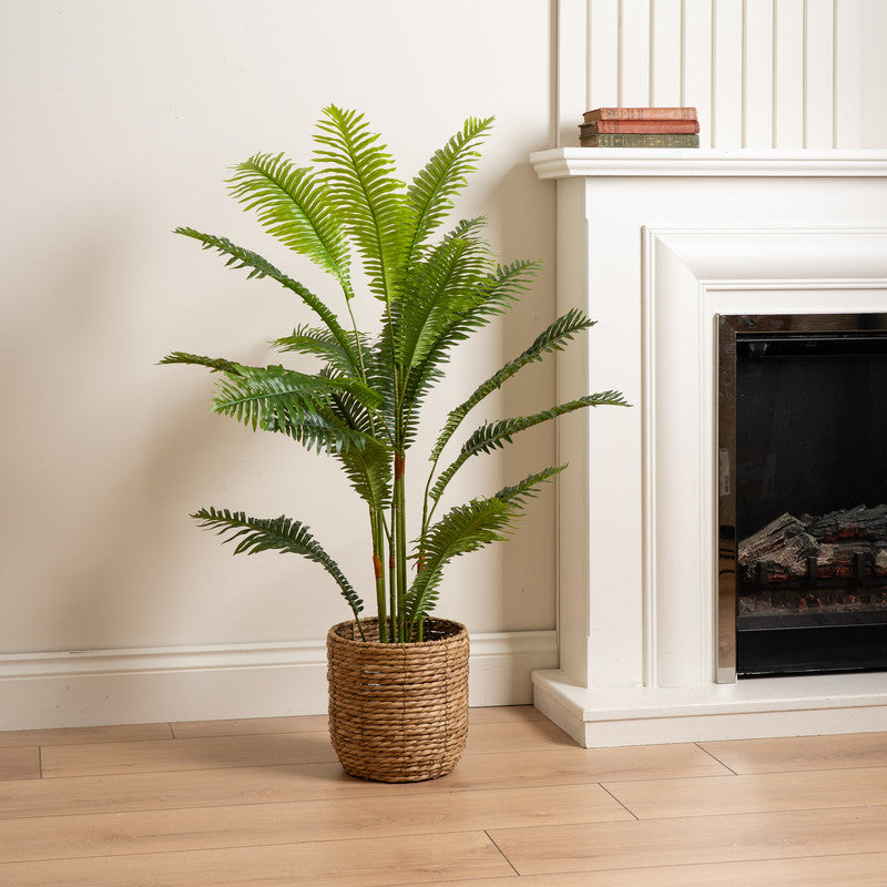 100cm Fern Palm Tree