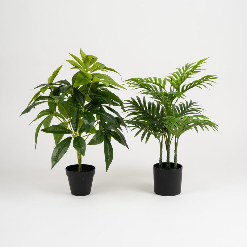 Set of 2 Artificial Palm & Money Tree Plants 60cm