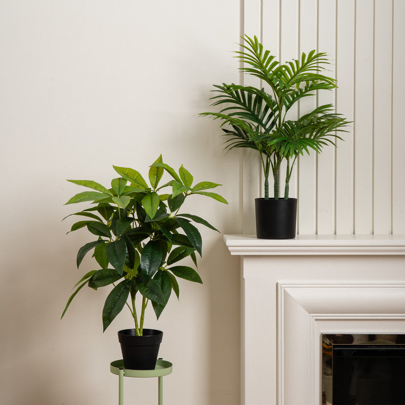 Set of 2 Artificial Palm & Money Tree Plants 60cm