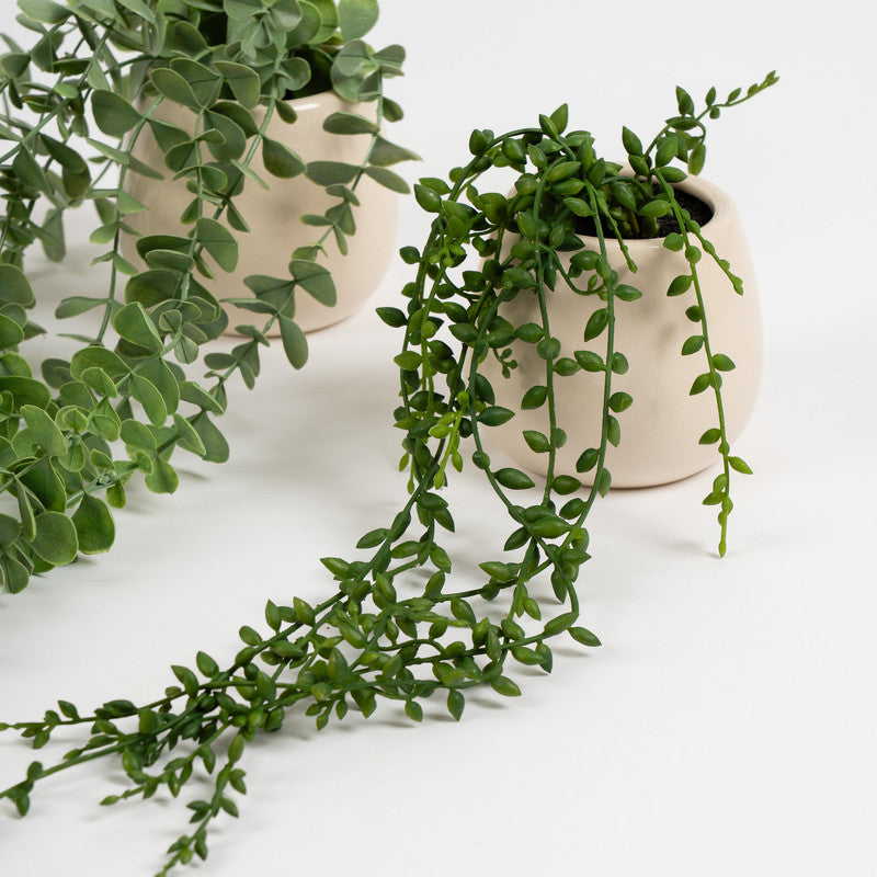 Set of 3 Trailing Plants in Beige Ceramic Pots