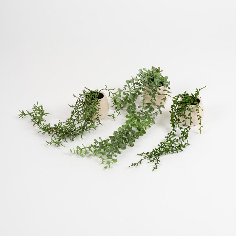 Set of 3 Trailing Plants in Beige Ceramic Pots