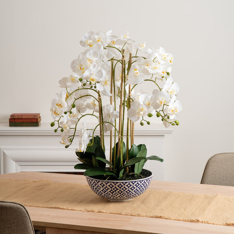 71cm Orchid in Blue/White Pot