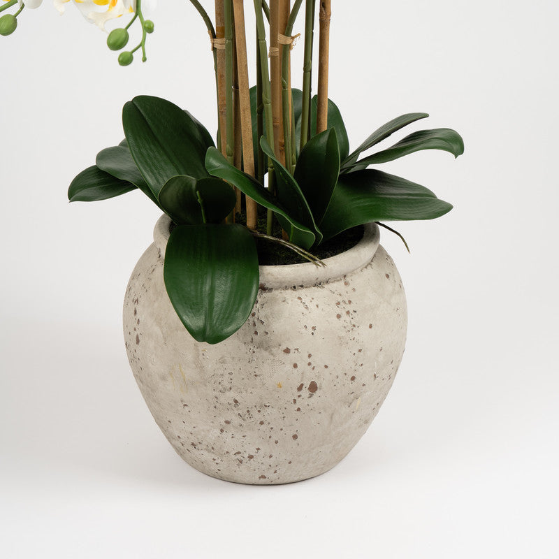 90cm Oversized Orchid