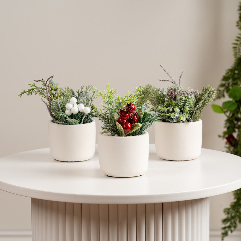 Set of 3 Christmas Plants 17cm
