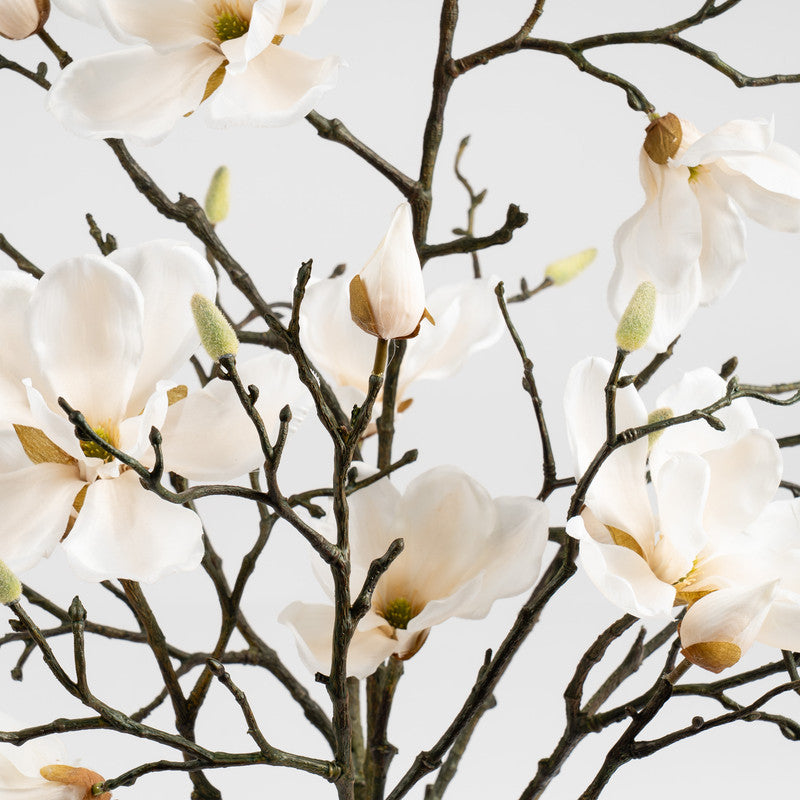 71cm Magnolia In Resin Pot