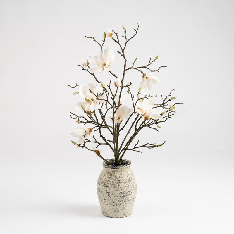 71cm Magnolia In Resin Pot