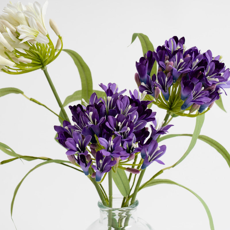 40cm Artificial Agapanthus in Vase