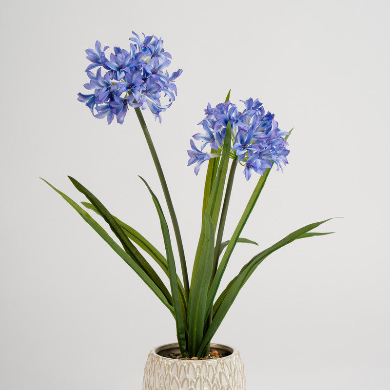64cm Artificial Garden Hyacinth in Ceramic Pot