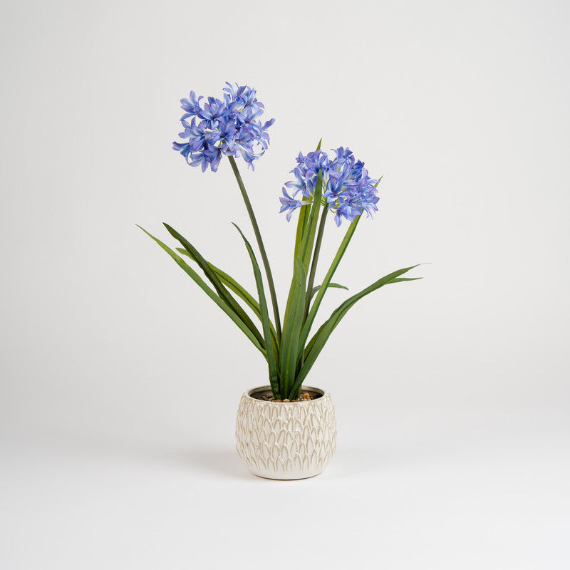 64cm Artificial Garden Hyacinth in Ceramic Pot