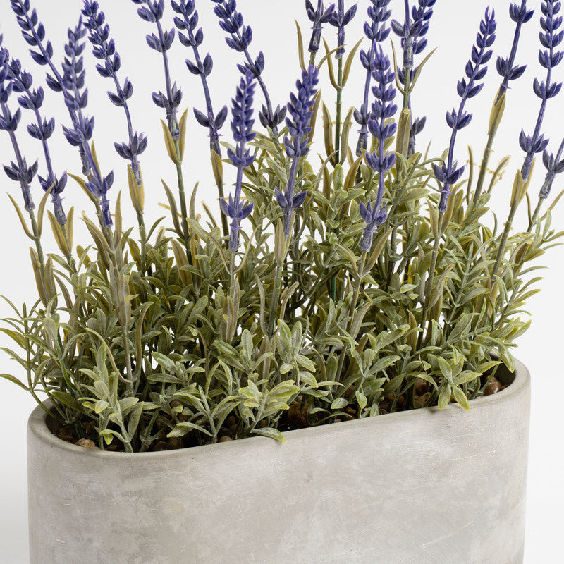 35cm Artificial Lavender in Oval Trough