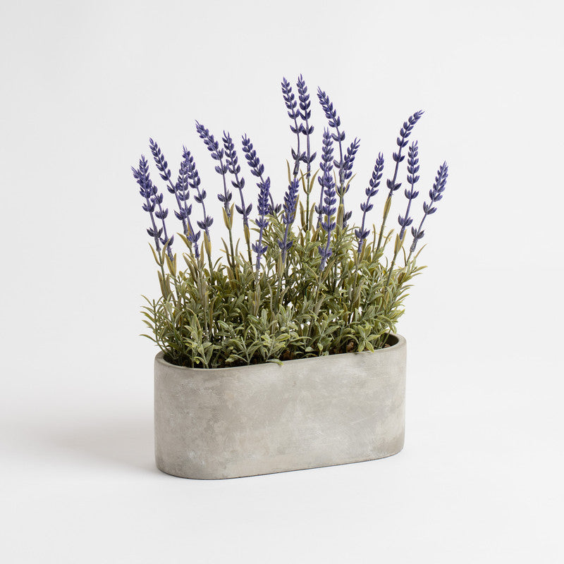 35cm Artificial Lavender in Oval Trough