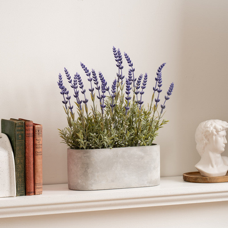 35cm Artificial Lavender in Oval Trough