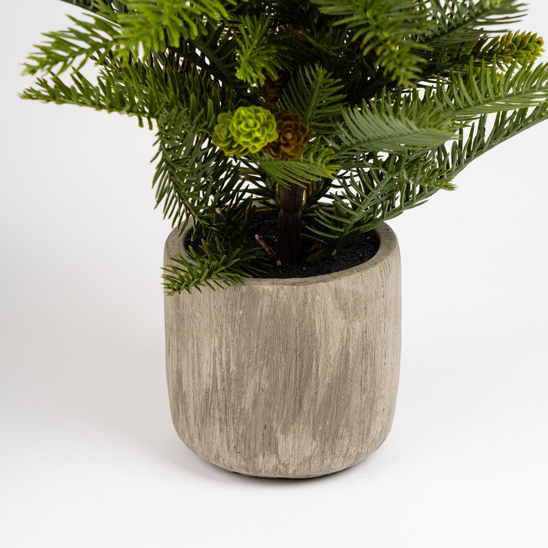 61cm Christmas Pine Tree in Cement Pot