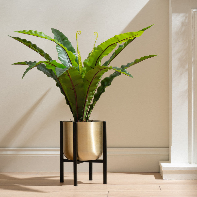 Gold Planter on Black Stand Small