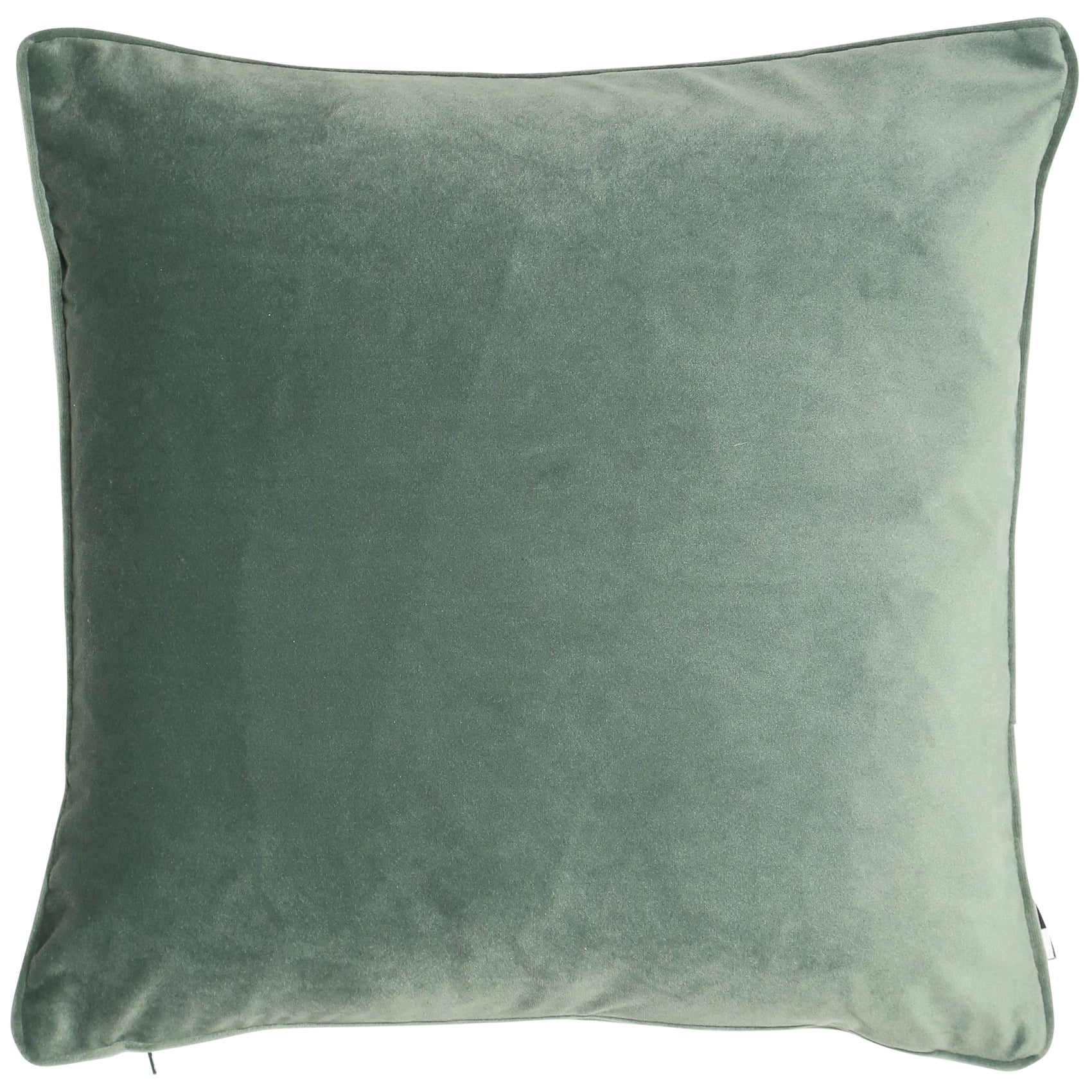 Malini Matt Poly Velvet With Piping Eucalptus Square Cushion 56x56