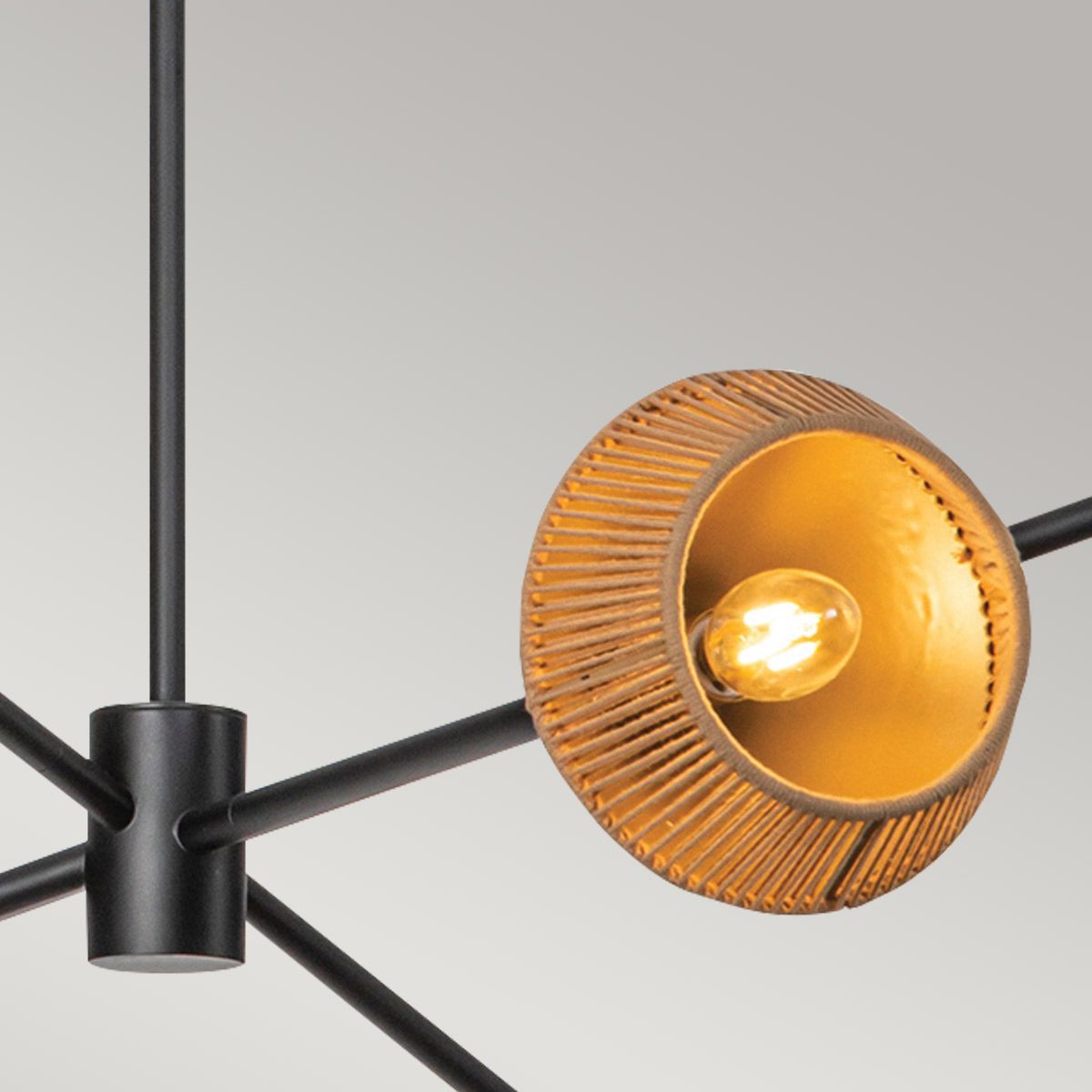 Payne 6 Light Chandelier - Black & Rope