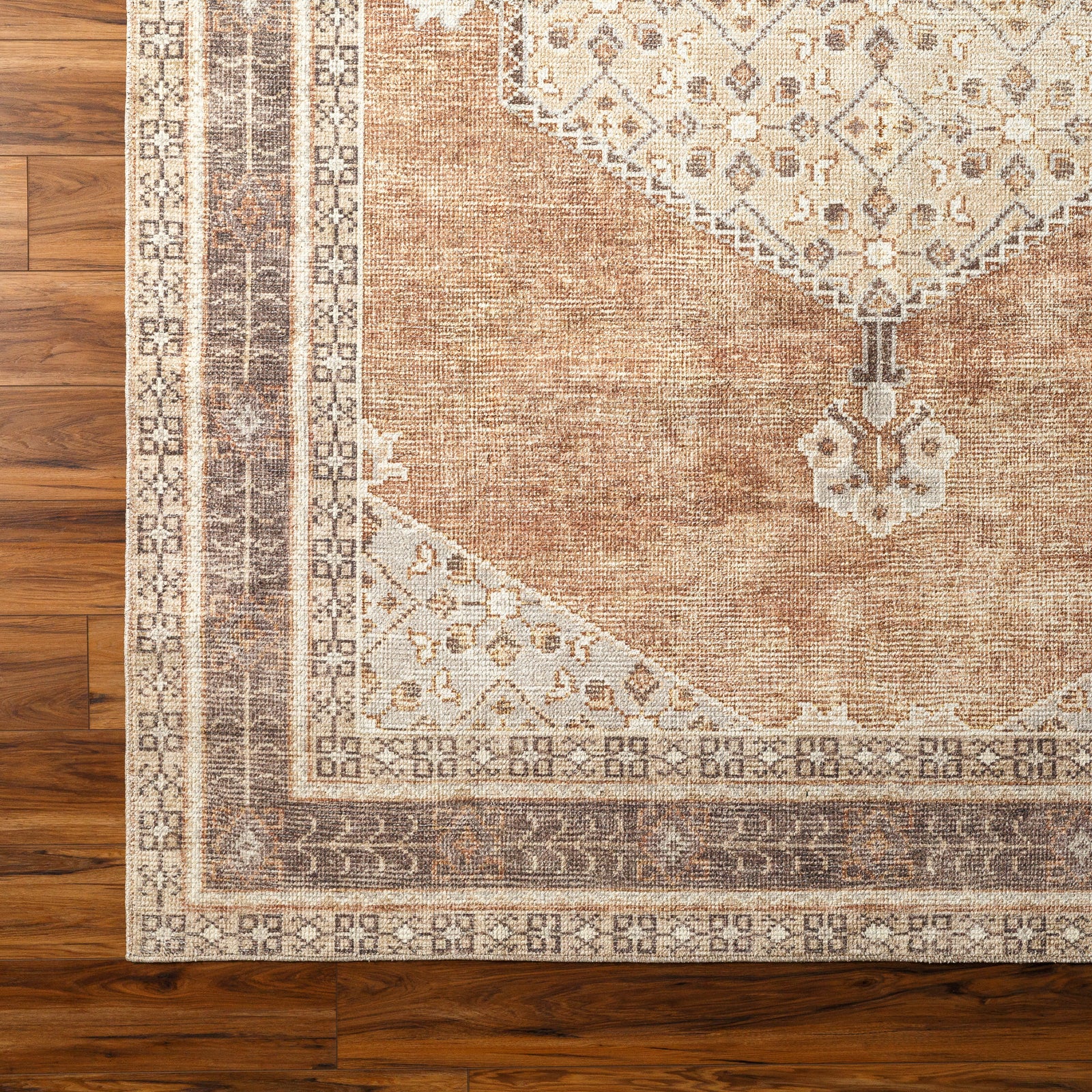 Lila Becki Owens Vintage Traditional Vintage Boho Brown & Tan Polyester Rug 120x170cm - colour swatch
