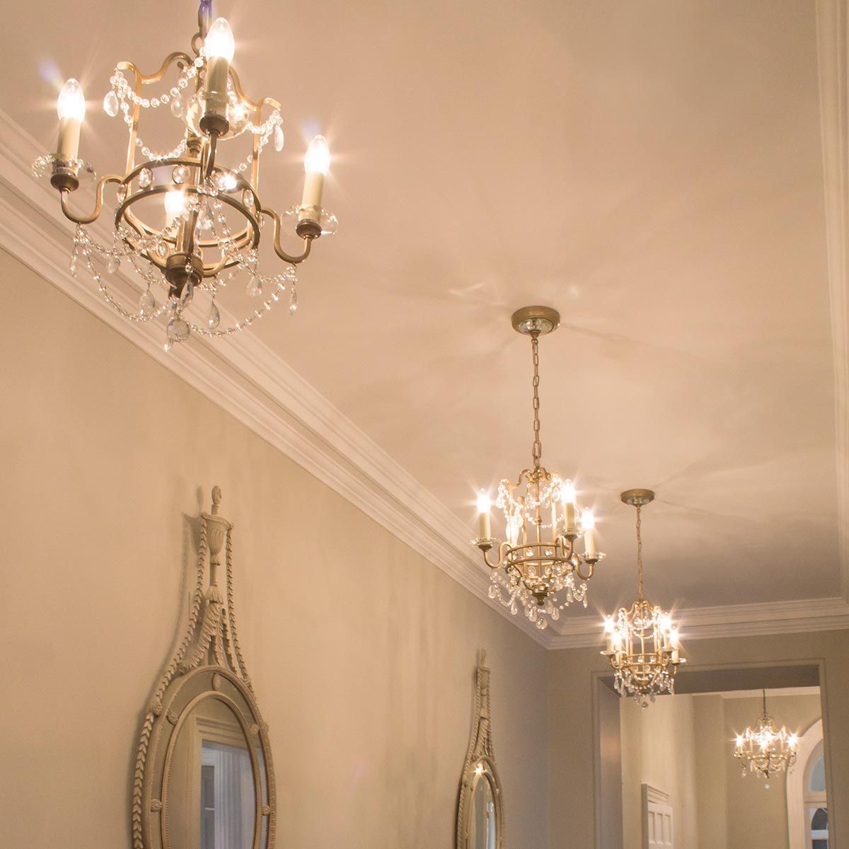 Maximus 4 Light Chandelier - Silver