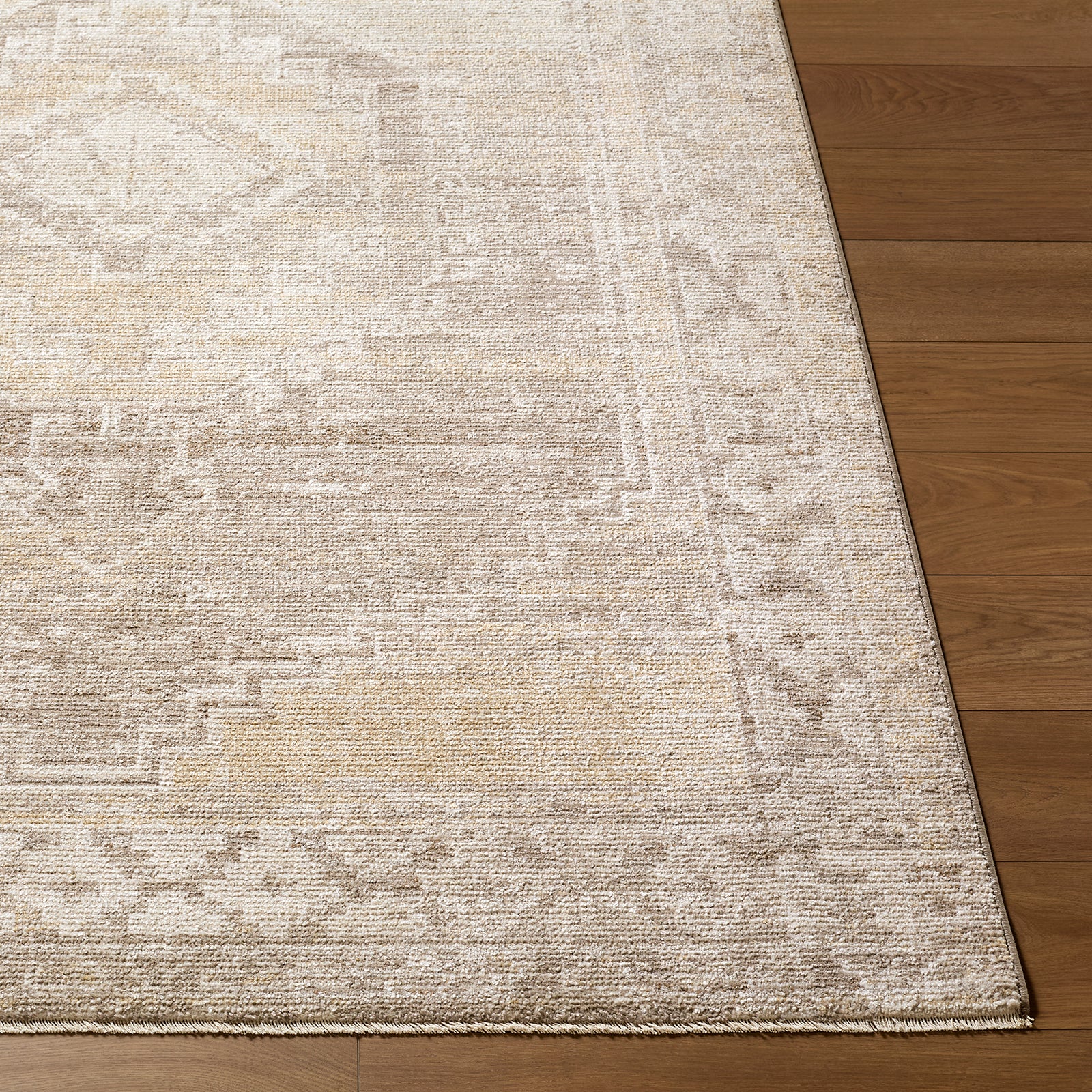 Fifth Avenue Vintage Traditional Boho Fringe Grey & Light Grey & Taupe Polypropylene & Polyester Rug 152x225cm - front view