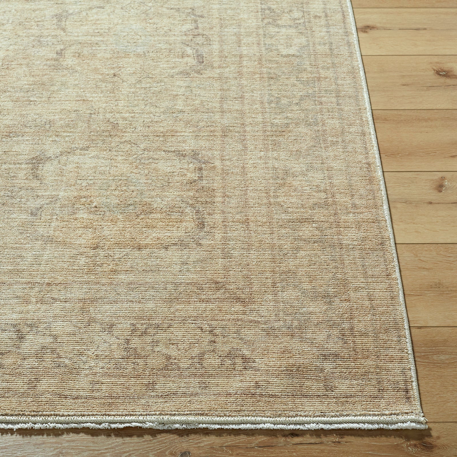 Fetscher Galey Alix Vintage Traditional Vintage Boho Fringe Tan & Dusty Sage Polyester Rug 152x229cm - front view