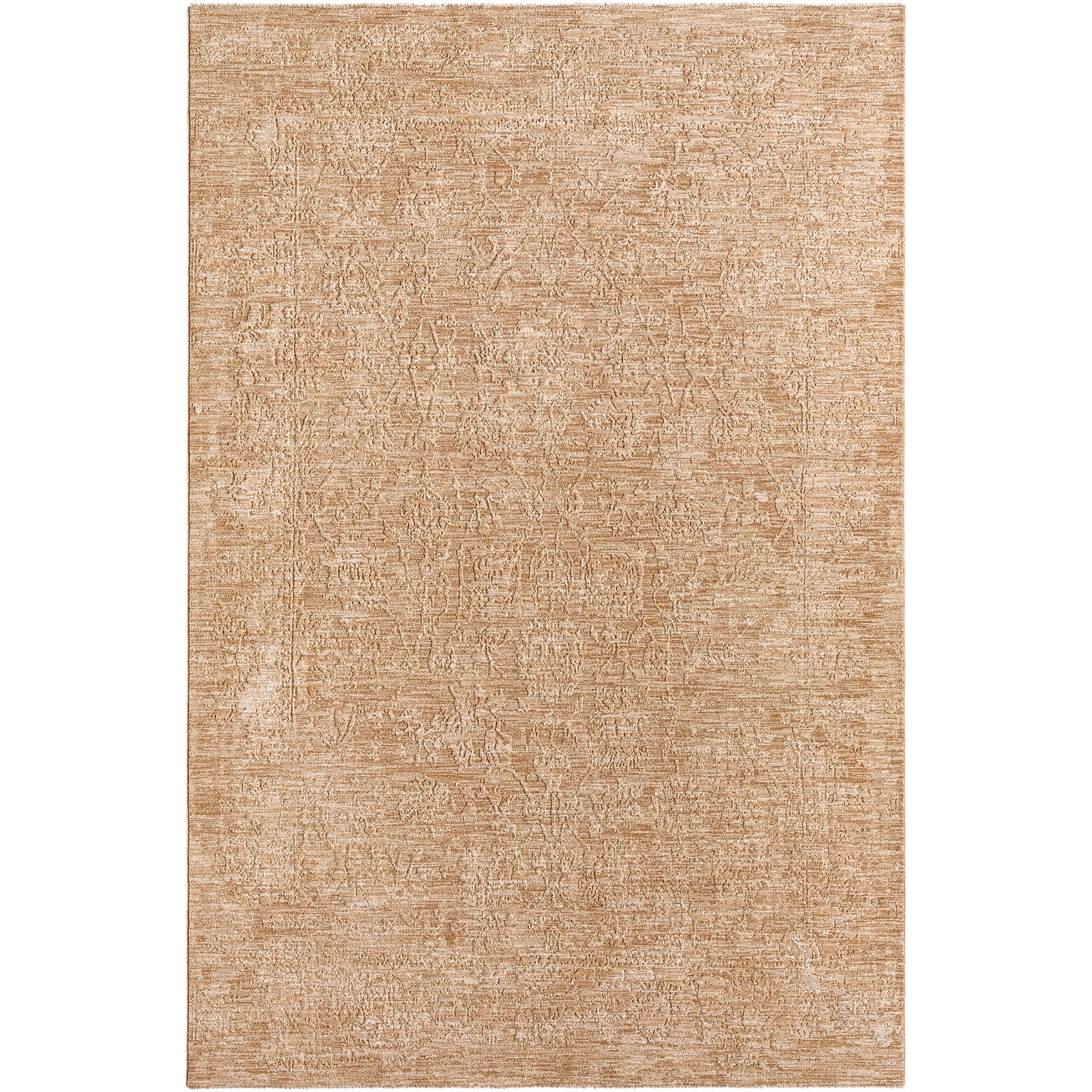 Masterpiece Vintage Traditional Boho Fringe Beige & Tan Polyester Rug 152x225cm - product image