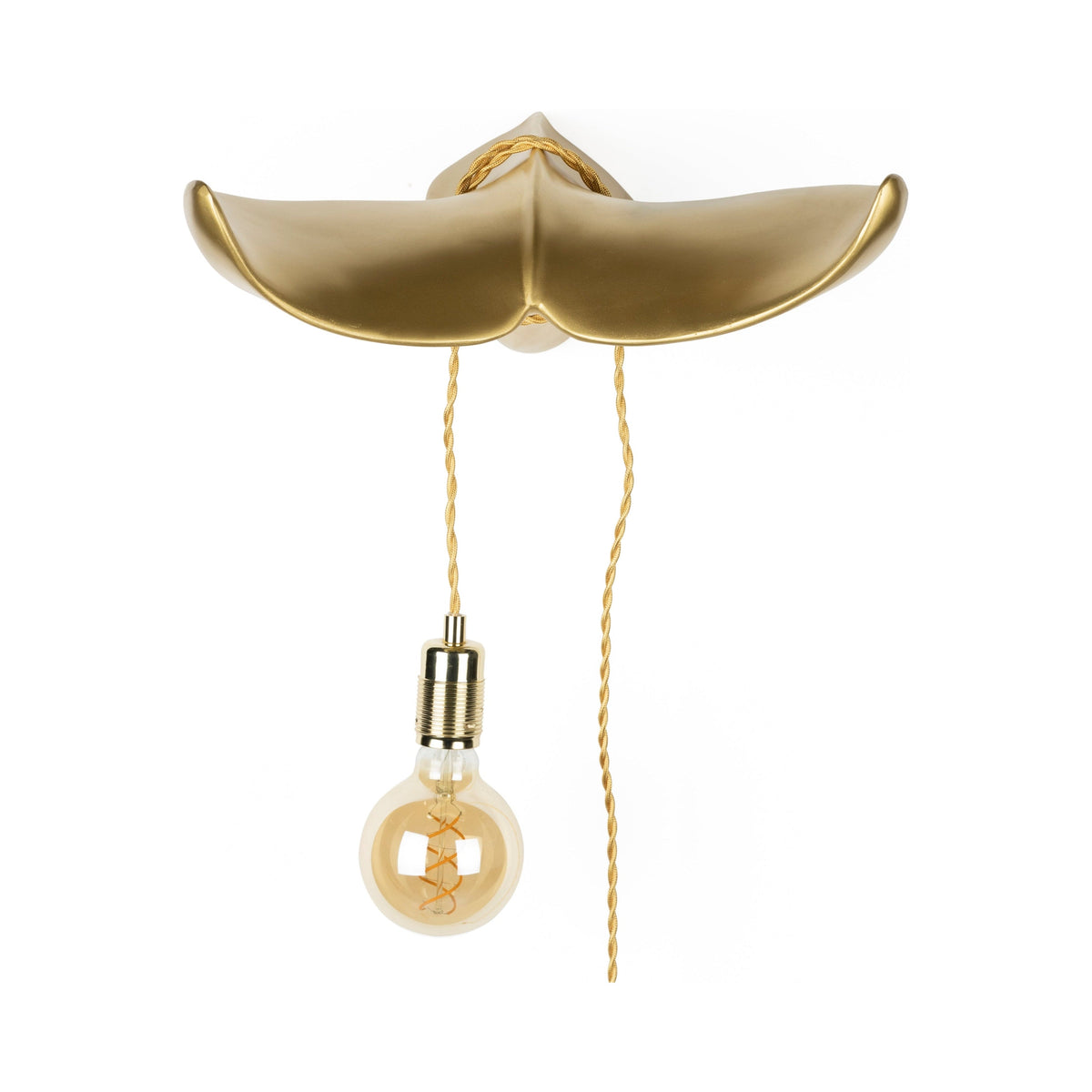 Bold Monkey The Tail Will Follow Gold Wall Light