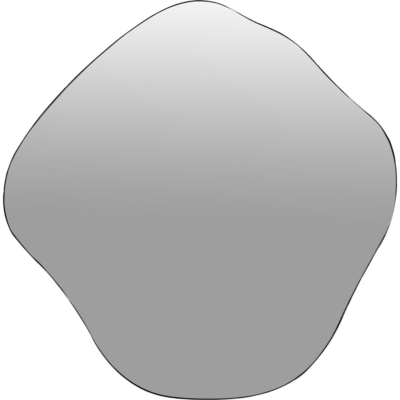 Organic Abstract Rustic Finish Wall Mirror | Large