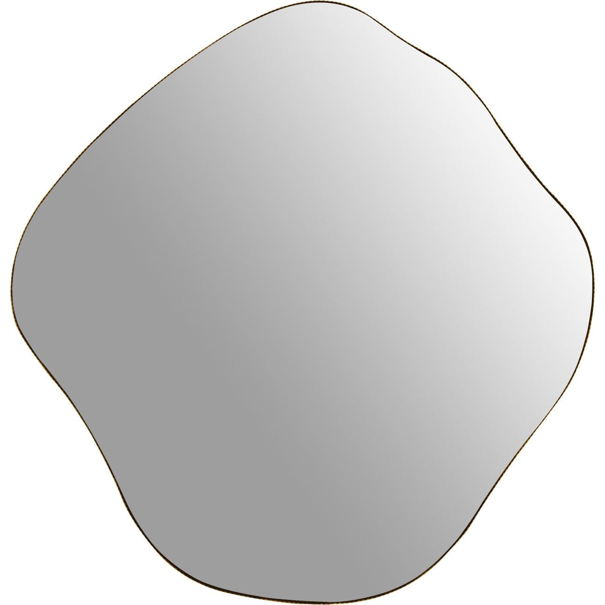 Organic Abstract Aged Champagne Finish Wall Mirror | Large
