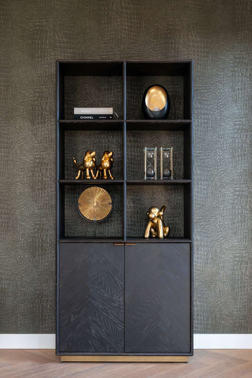 Bookcase Blackbone brass 2-doors (Black rustic)